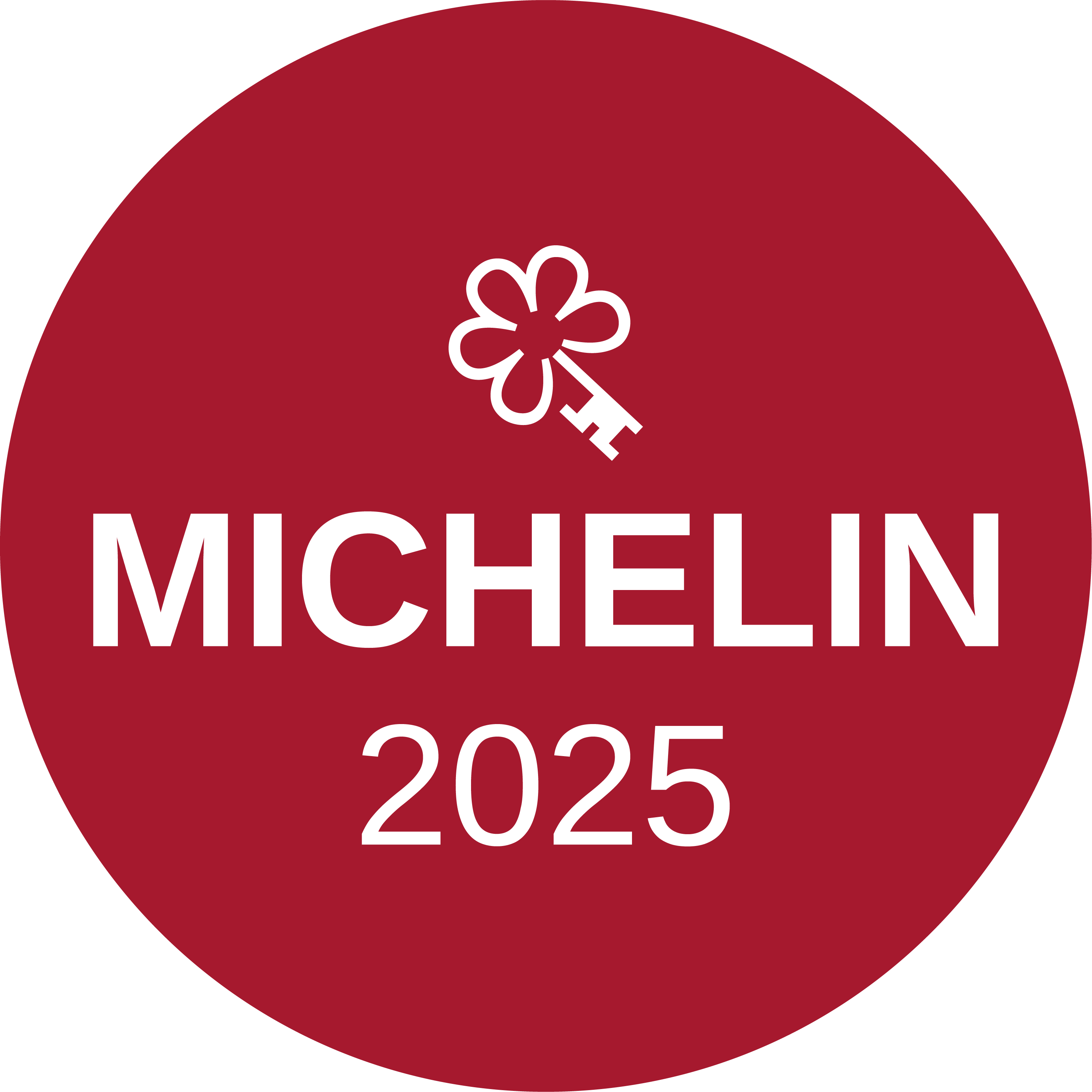 MICHELIN LOGO