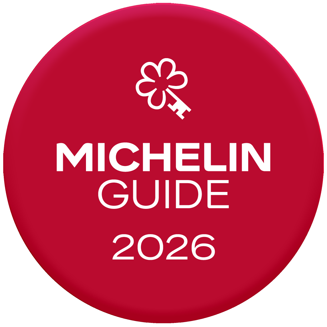 MICHELIN LOGO